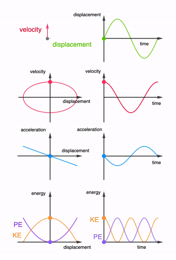 simple harmonic motion graphs