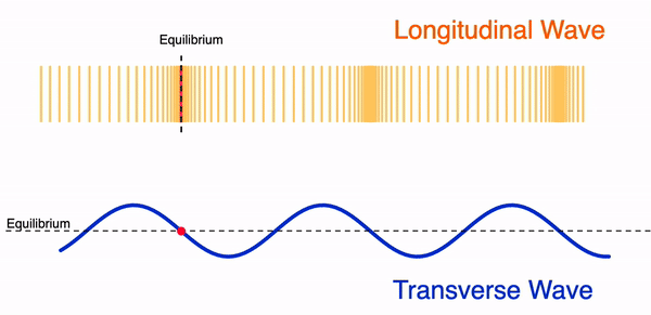 Longitudinal and Transverse Waves – Physics Lens