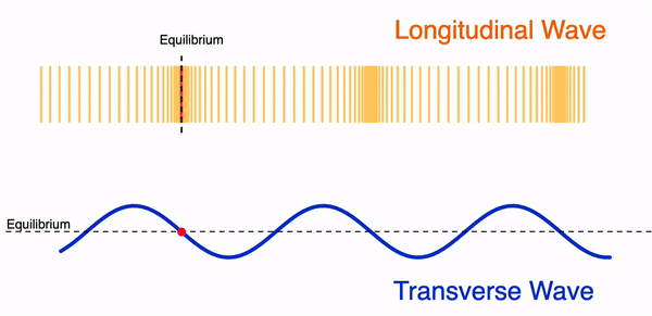 Transverse Wave Gif Transverse Wave Gif